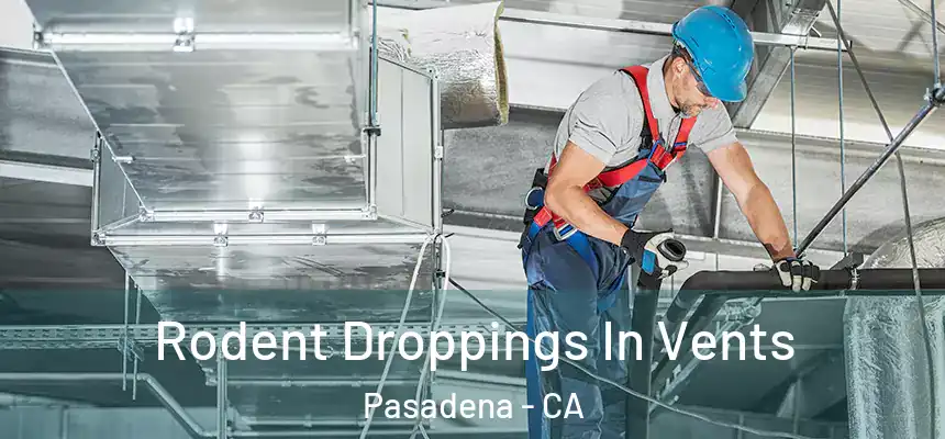  Rodent Droppings In Vents Pasadena - CA
