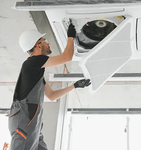 About Air Duct Rodent Removal in Pasadena, CA