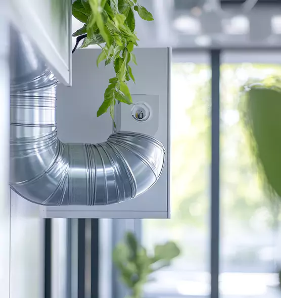 Professional Eco-Safe Dryer Vent Cleaning in Pasadena, CA