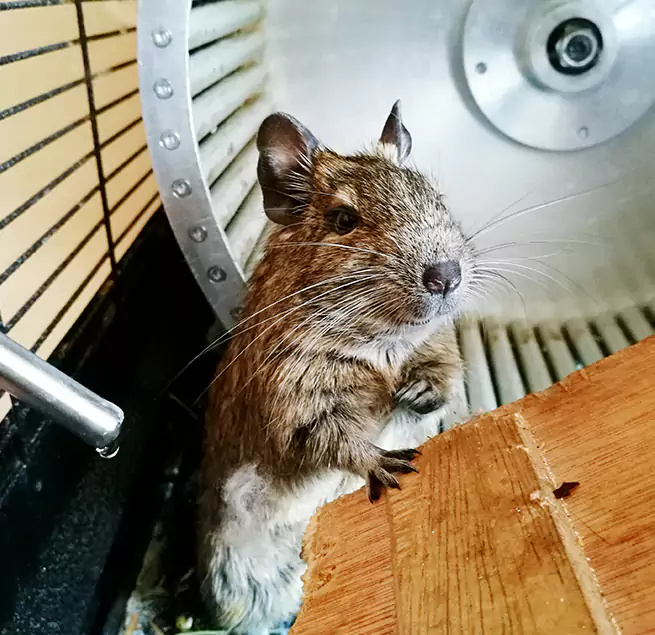 Why Homeowners & Businesses Trust Us Pasadena, CA