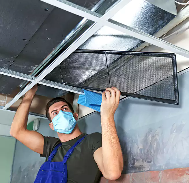 Why Homeowners Businesses Trust Us in Pasadena, CA