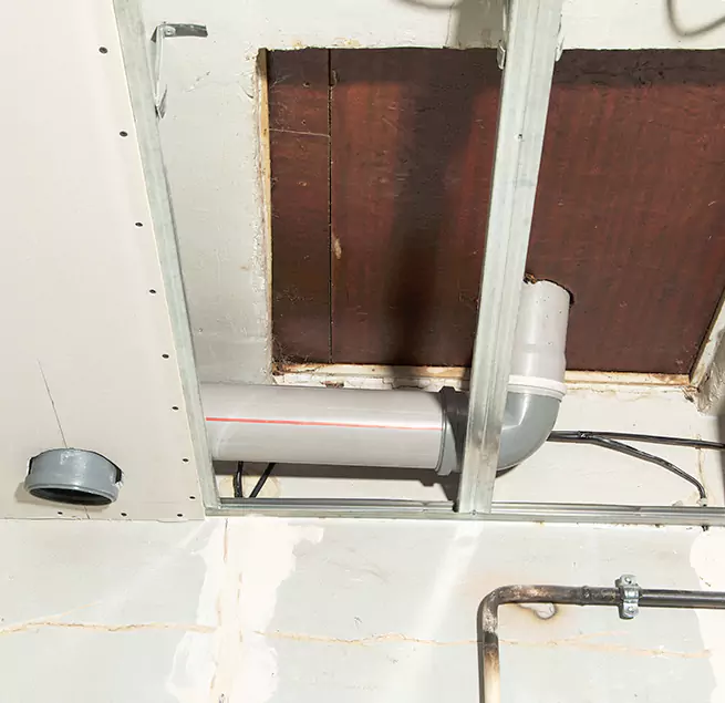 Why Homeowners & Businesses Trust Us in Pasadena, CA?