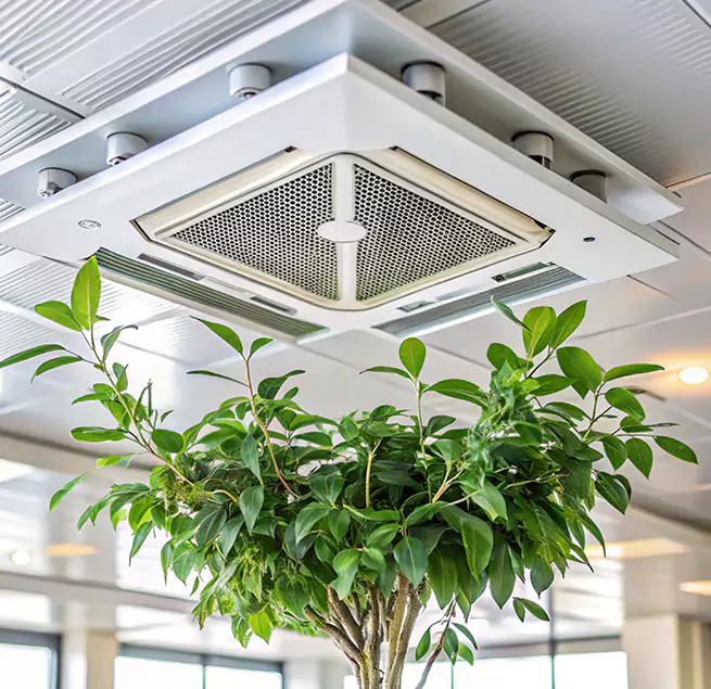 Why Homeowners & Businesses Trust Us in Pasadena, CA?