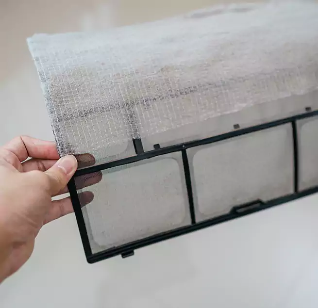 Why Homeowners & Businesses Trust Us in Pasadena, CA?