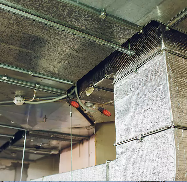 Why Homeowners & Businesses Trust Us Pasadena, CA?