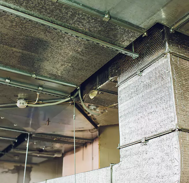 Why Homeowners & Businesses Trust Us in Pasadena, CA?